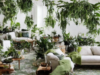 Forny dit hjem med grønne hængeplanter fra Eva Solo: Opnå en afslappende og harmonisk atmosfære