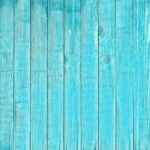 Luftrenser eller planter? Hvad er bedst for et sundt indeklima?