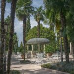 Tips og tricks til at forlænge levetiden af dine hydrangeaer i en vase.