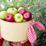 Pallehynder fra vidaXL – en alsidig løsning til både indendørs og udendørs brug