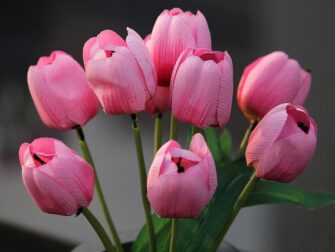 En guide til at vælge den bedste kunstige blomst til dit hjem