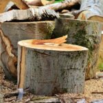 Effektiv og ergonomisk: Hvordan Kärchers rygstøvsuger gør rengøringen til en leg