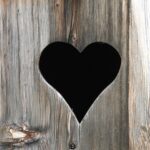 Sådan skaber du en bæredygtig have: Tips til økologisk havearbejde