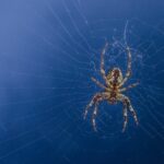 Sådan vælger du det bedste Bosch stemmejern til dine behov