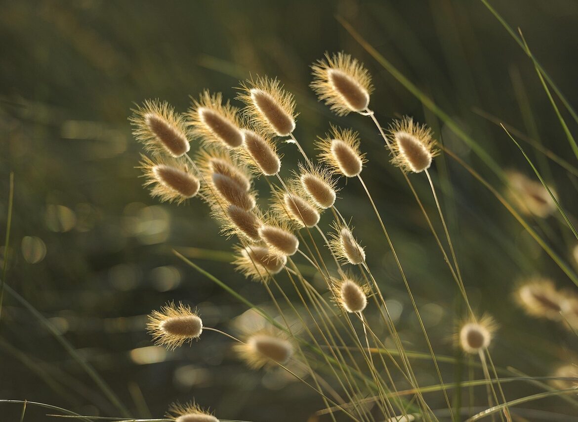 Guld ringe: En guide til at finde den perfekte stil til dig