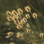 Renovering af lejlighed