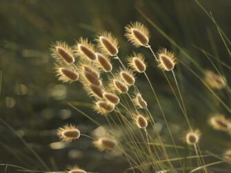 Guld ringe: En guide til at finde den perfekte stil til dig