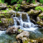 Sådan finder du den perfekte grill til din havefest