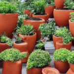 Revolutionerende anvendelser af korkplader i byggeriet